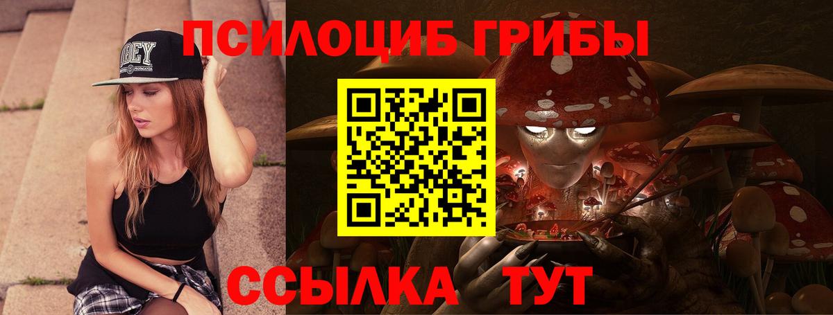 Псилоцибиновые грибы Cubensis Курчатов